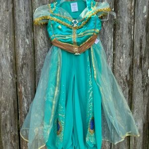 Disney Jasmine costume